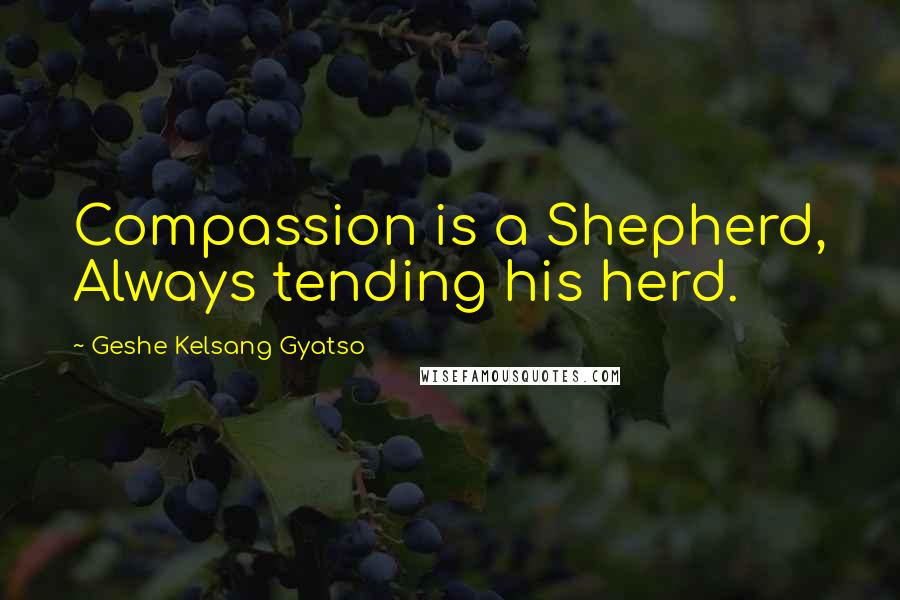 Geshe Kelsang Gyatso Quotes: Compassion is a Shepherd, Always tending his herd.