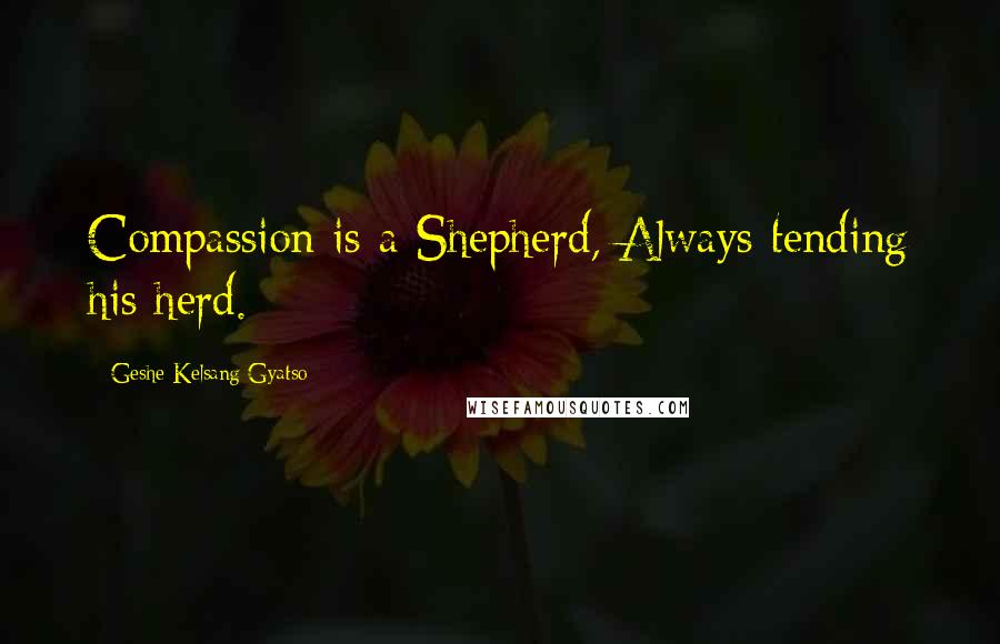 Geshe Kelsang Gyatso Quotes: Compassion is a Shepherd, Always tending his herd.