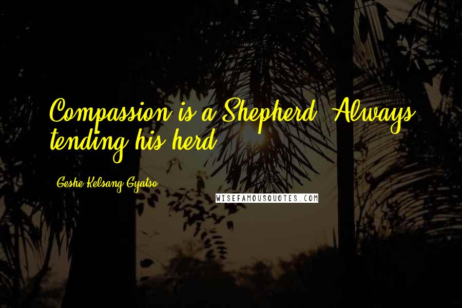 Geshe Kelsang Gyatso Quotes: Compassion is a Shepherd, Always tending his herd.