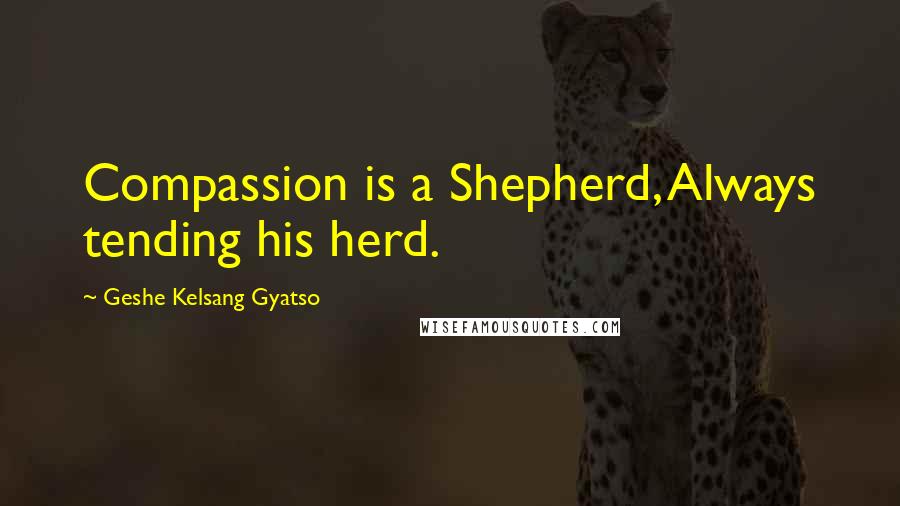 Geshe Kelsang Gyatso Quotes: Compassion is a Shepherd, Always tending his herd.