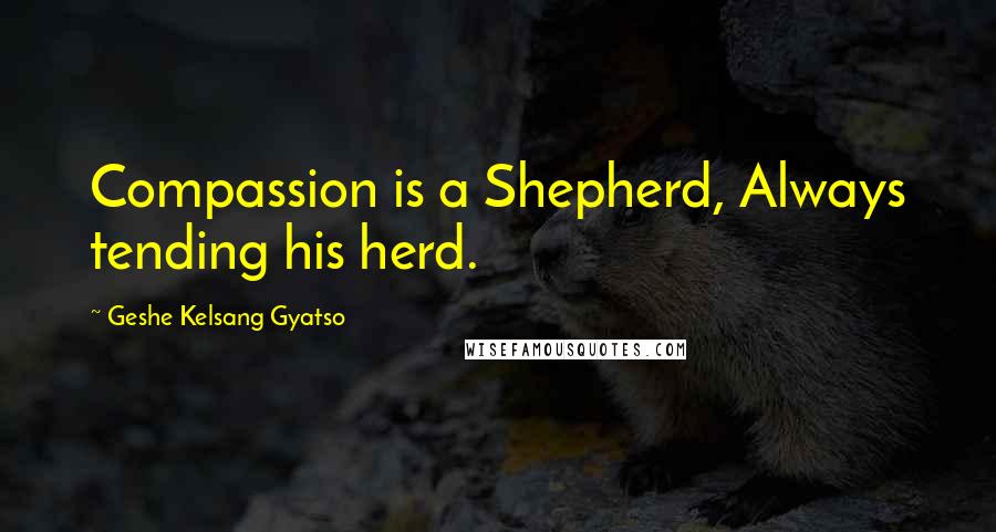 Geshe Kelsang Gyatso Quotes: Compassion is a Shepherd, Always tending his herd.