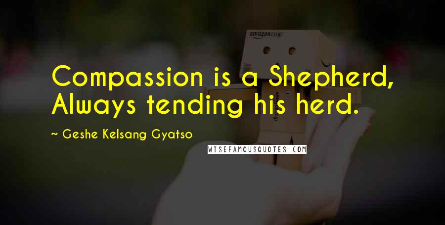 Geshe Kelsang Gyatso Quotes: Compassion is a Shepherd, Always tending his herd.