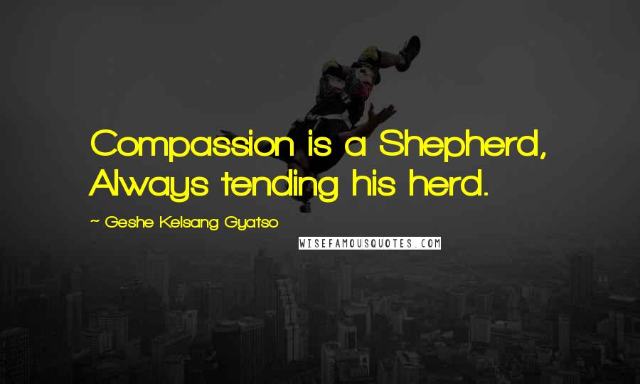 Geshe Kelsang Gyatso Quotes: Compassion is a Shepherd, Always tending his herd.