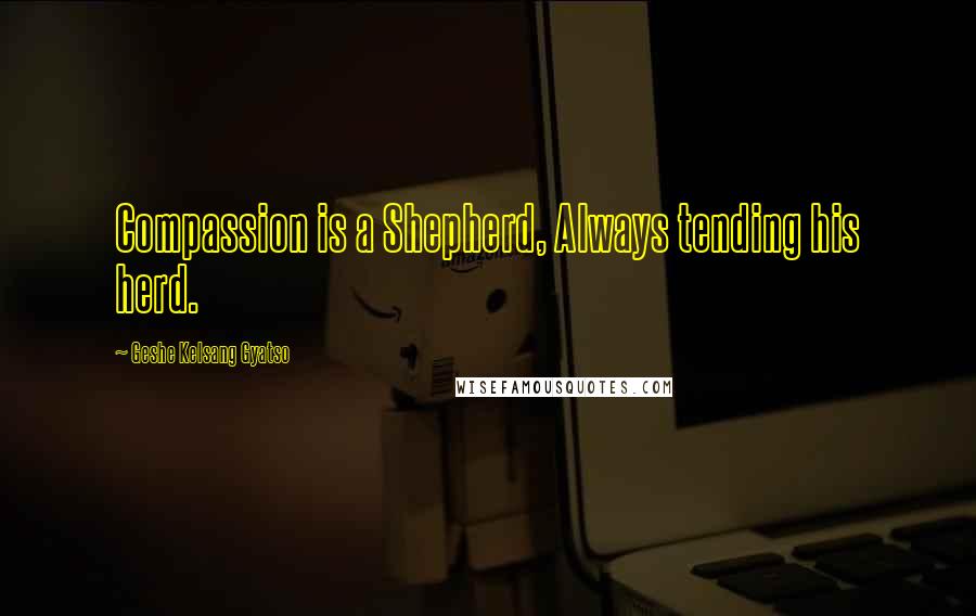 Geshe Kelsang Gyatso Quotes: Compassion is a Shepherd, Always tending his herd.