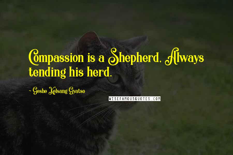 Geshe Kelsang Gyatso Quotes: Compassion is a Shepherd, Always tending his herd.