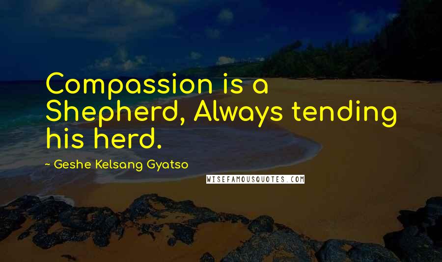 Geshe Kelsang Gyatso Quotes: Compassion is a Shepherd, Always tending his herd.