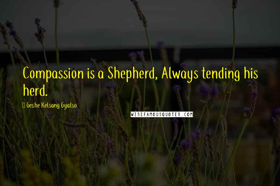 Geshe Kelsang Gyatso Quotes: Compassion is a Shepherd, Always tending his herd.