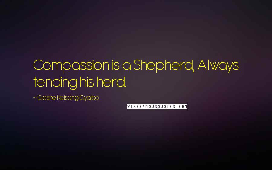 Geshe Kelsang Gyatso Quotes: Compassion is a Shepherd, Always tending his herd.