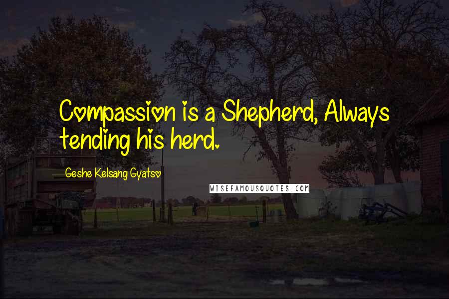 Geshe Kelsang Gyatso Quotes: Compassion is a Shepherd, Always tending his herd.