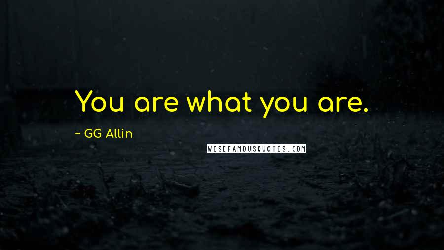 GG Allin Quotes: You are what you are.