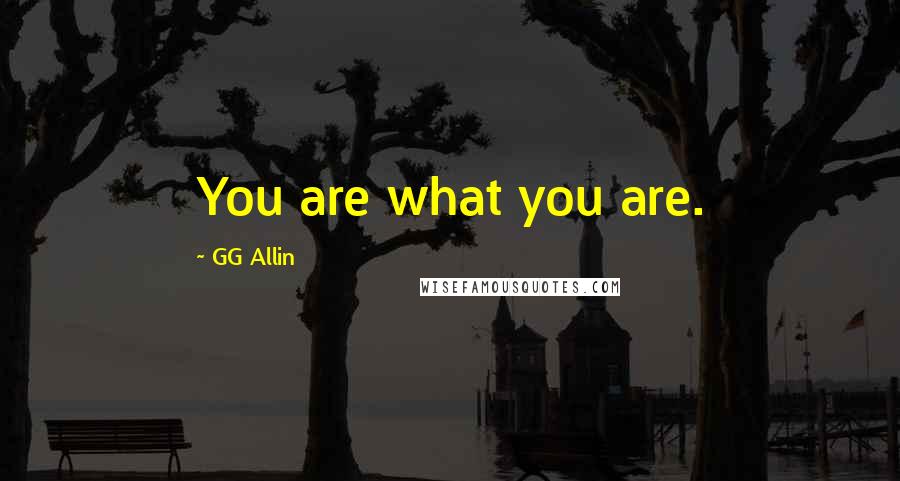 GG Allin Quotes: You are what you are.