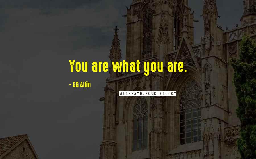 GG Allin Quotes: You are what you are.