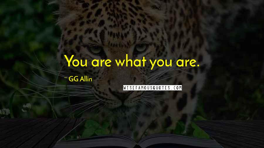 GG Allin Quotes: You are what you are.