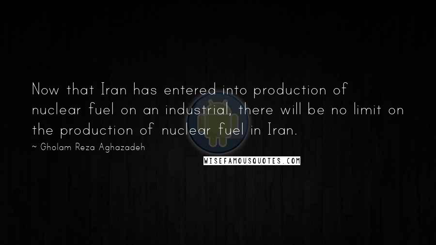 Gholam Reza Aghazadeh Quotes: Now that Iran has entered into production of nuclear fuel on an industrial, there will be no limit on the production of nuclear fuel in Iran.