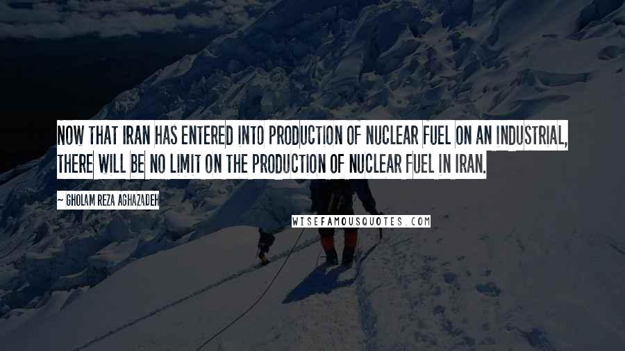 Gholam Reza Aghazadeh Quotes: Now that Iran has entered into production of nuclear fuel on an industrial, there will be no limit on the production of nuclear fuel in Iran.