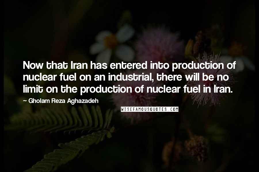 Gholam Reza Aghazadeh Quotes: Now that Iran has entered into production of nuclear fuel on an industrial, there will be no limit on the production of nuclear fuel in Iran.