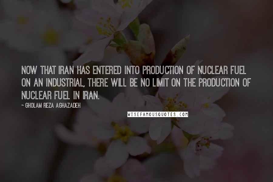 Gholam Reza Aghazadeh Quotes: Now that Iran has entered into production of nuclear fuel on an industrial, there will be no limit on the production of nuclear fuel in Iran.