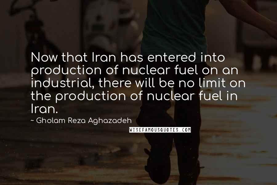 Gholam Reza Aghazadeh Quotes: Now that Iran has entered into production of nuclear fuel on an industrial, there will be no limit on the production of nuclear fuel in Iran.