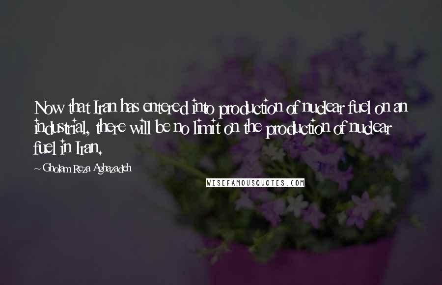 Gholam Reza Aghazadeh Quotes: Now that Iran has entered into production of nuclear fuel on an industrial, there will be no limit on the production of nuclear fuel in Iran.