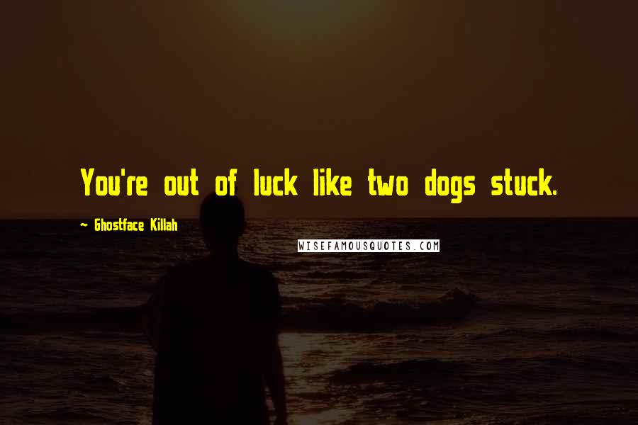 Ghostface Killah Quotes: You're out of luck like two dogs stuck.