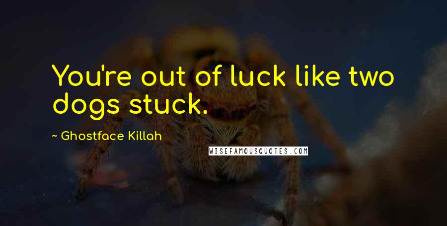 Ghostface Killah Quotes: You're out of luck like two dogs stuck.