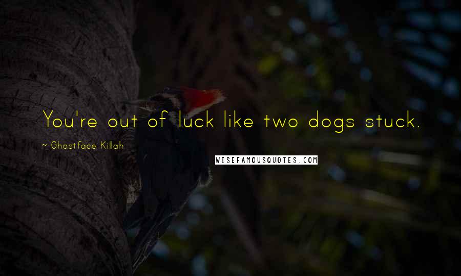 Ghostface Killah Quotes: You're out of luck like two dogs stuck.