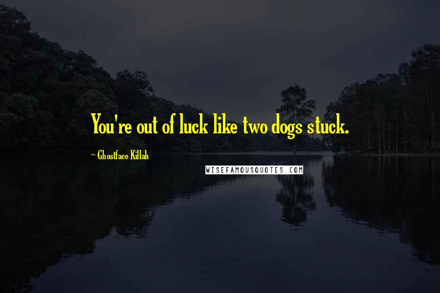 Ghostface Killah Quotes: You're out of luck like two dogs stuck.