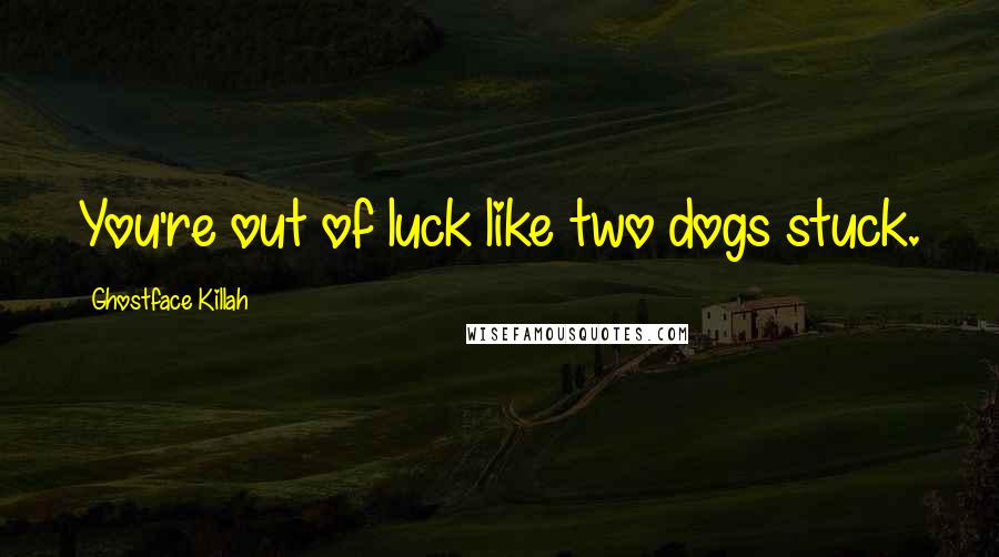 Ghostface Killah Quotes: You're out of luck like two dogs stuck.