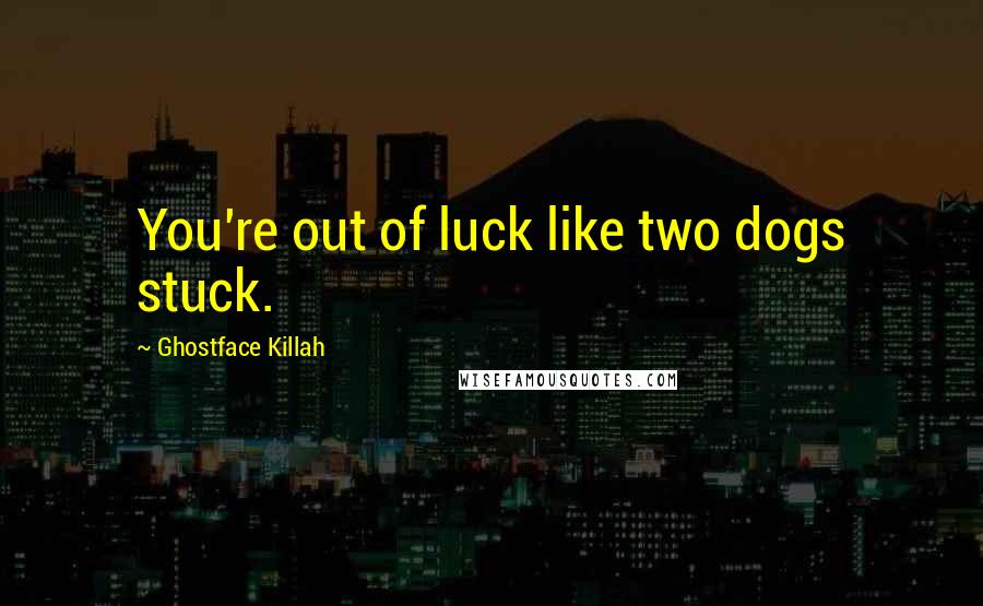 Ghostface Killah Quotes: You're out of luck like two dogs stuck.