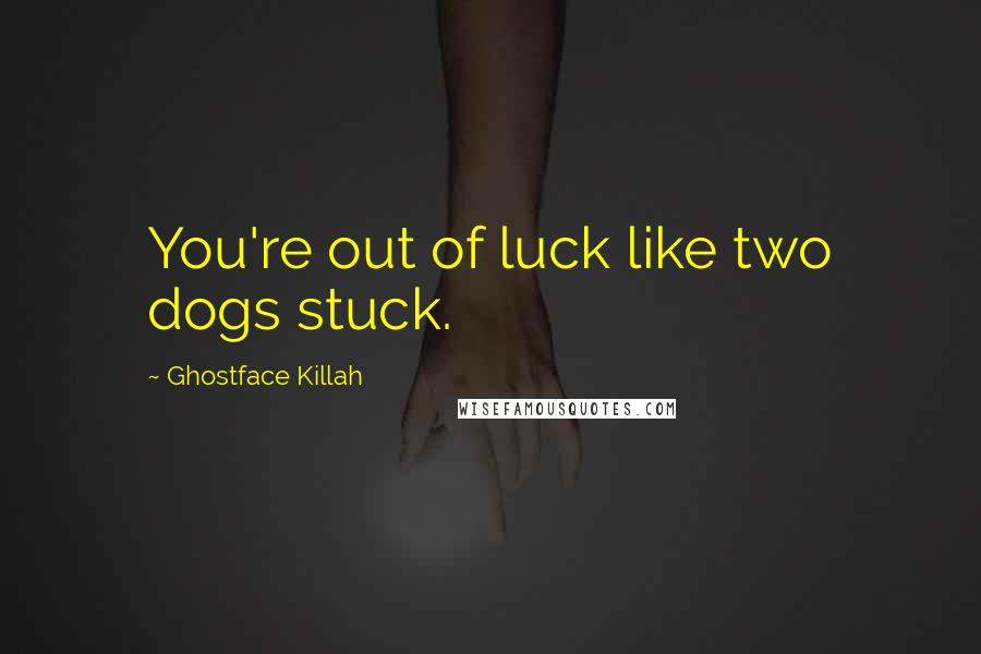 Ghostface Killah Quotes: You're out of luck like two dogs stuck.