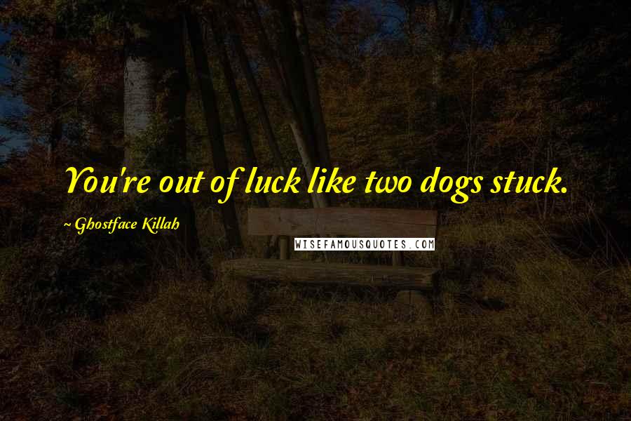 Ghostface Killah Quotes: You're out of luck like two dogs stuck.