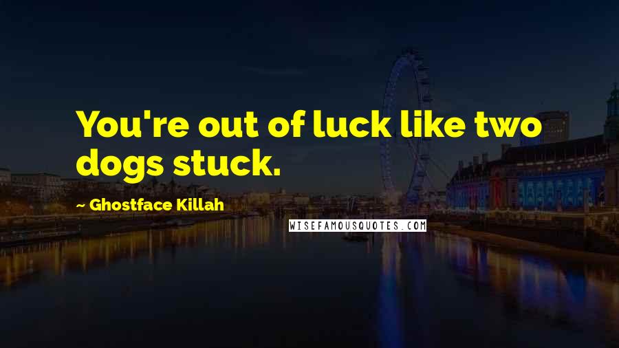 Ghostface Killah Quotes: You're out of luck like two dogs stuck.