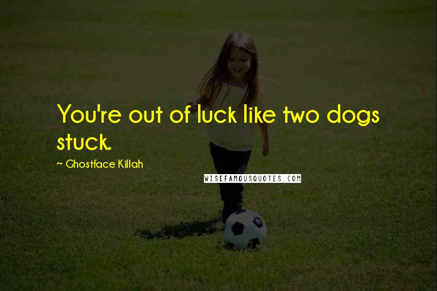 Ghostface Killah Quotes: You're out of luck like two dogs stuck.