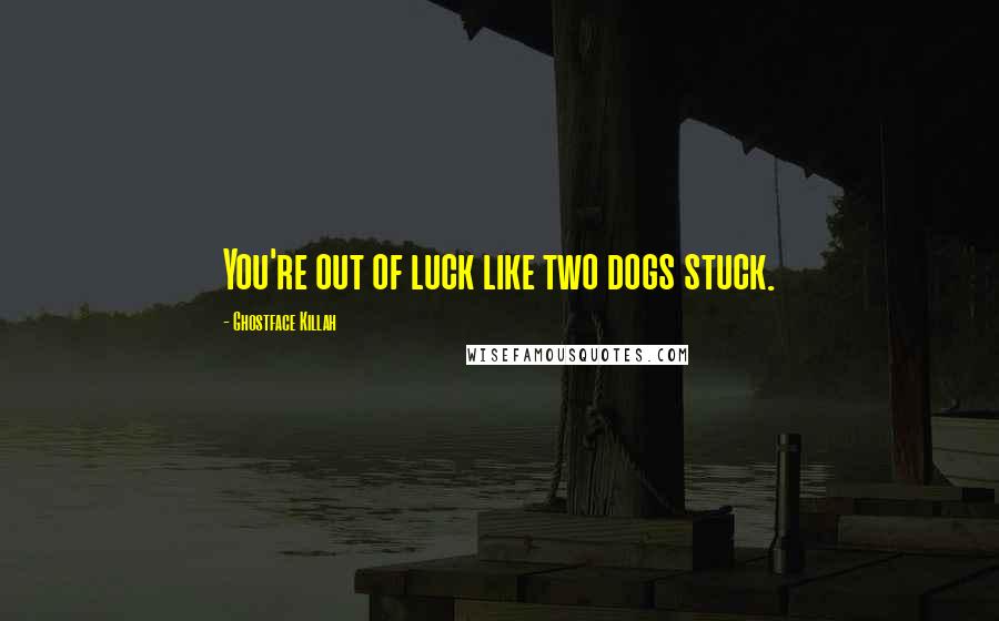 Ghostface Killah Quotes: You're out of luck like two dogs stuck.