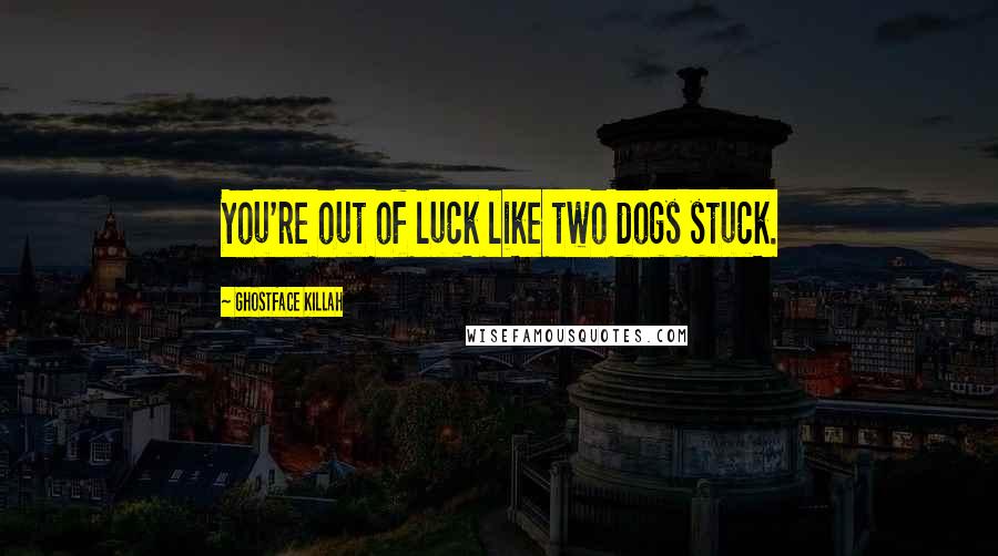 Ghostface Killah Quotes: You're out of luck like two dogs stuck.