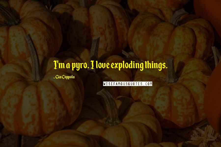 Gia Coppola Quotes: I'm a pyro. I love exploding things.