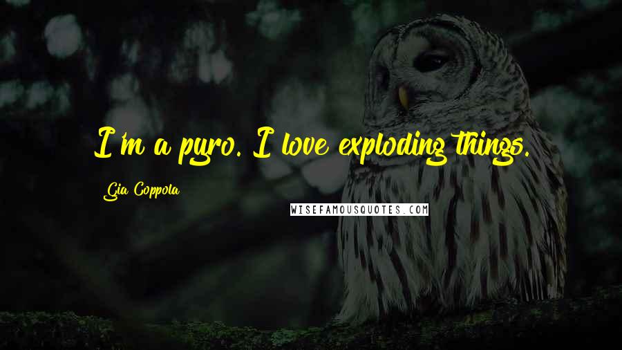 Gia Coppola Quotes: I'm a pyro. I love exploding things.