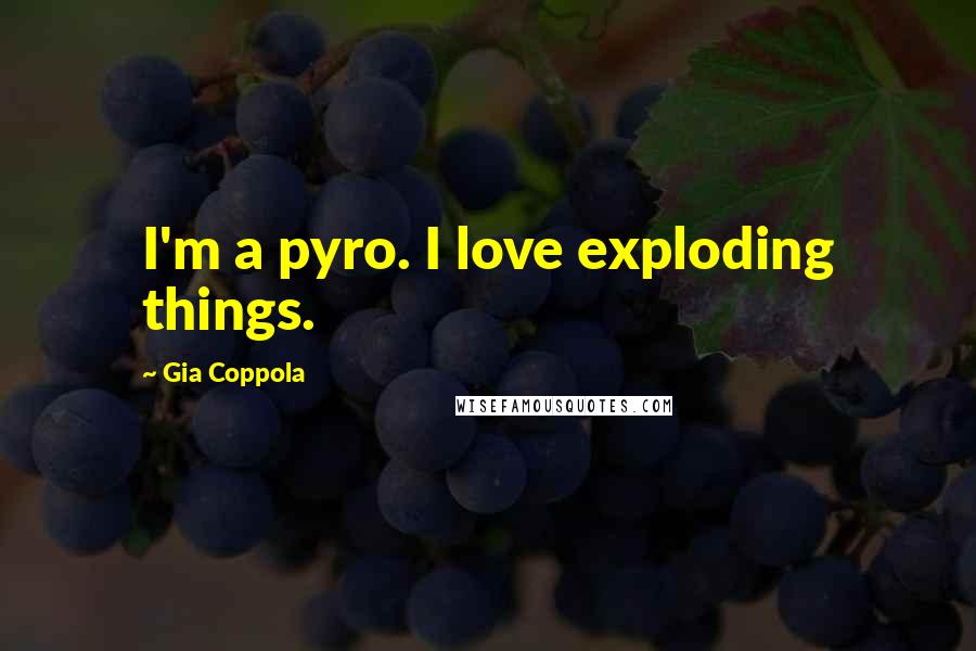 Gia Coppola Quotes: I'm a pyro. I love exploding things.