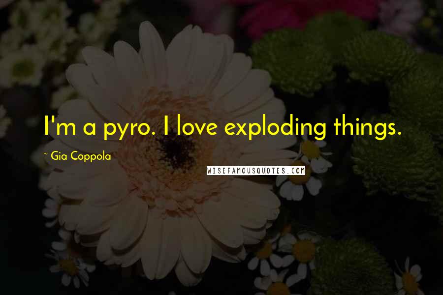 Gia Coppola Quotes: I'm a pyro. I love exploding things.