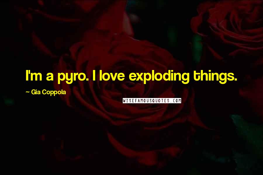 Gia Coppola Quotes: I'm a pyro. I love exploding things.