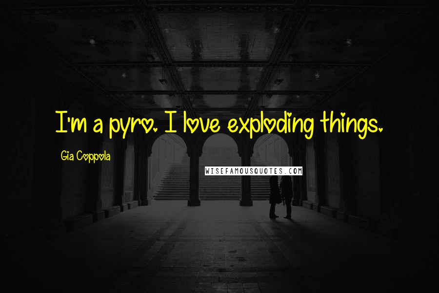 Gia Coppola Quotes: I'm a pyro. I love exploding things.