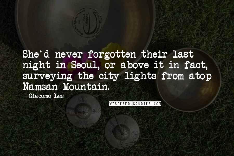 Giacomo Lee Quotes: She'd never forgotten their last night in Seoul, or above it in fact, surveying the city lights from atop Namsan Mountain.