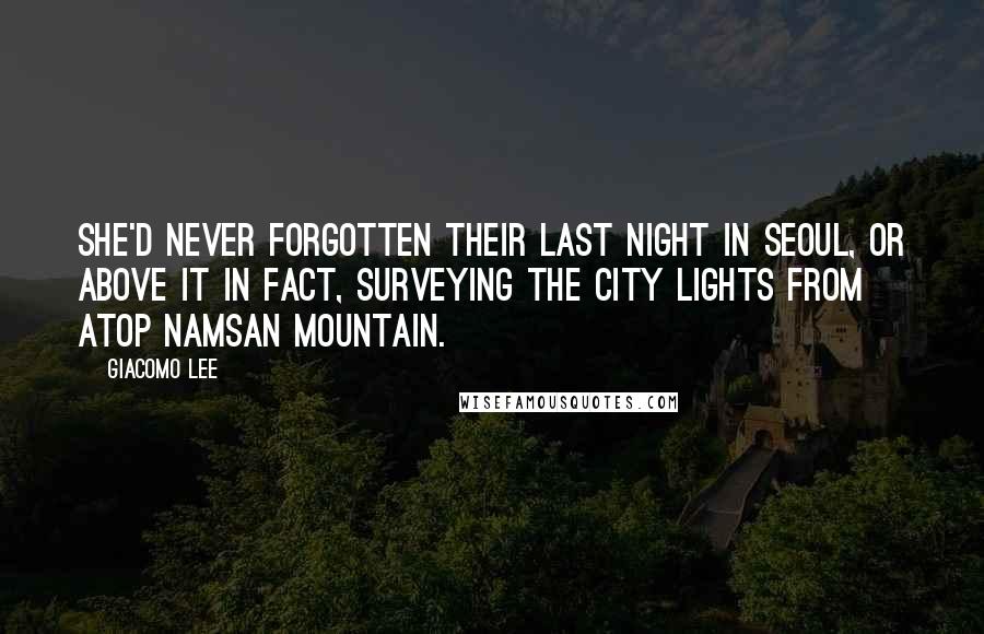 Giacomo Lee Quotes: She'd never forgotten their last night in Seoul, or above it in fact, surveying the city lights from atop Namsan Mountain.