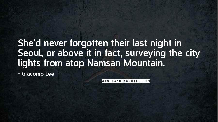 Giacomo Lee Quotes: She'd never forgotten their last night in Seoul, or above it in fact, surveying the city lights from atop Namsan Mountain.