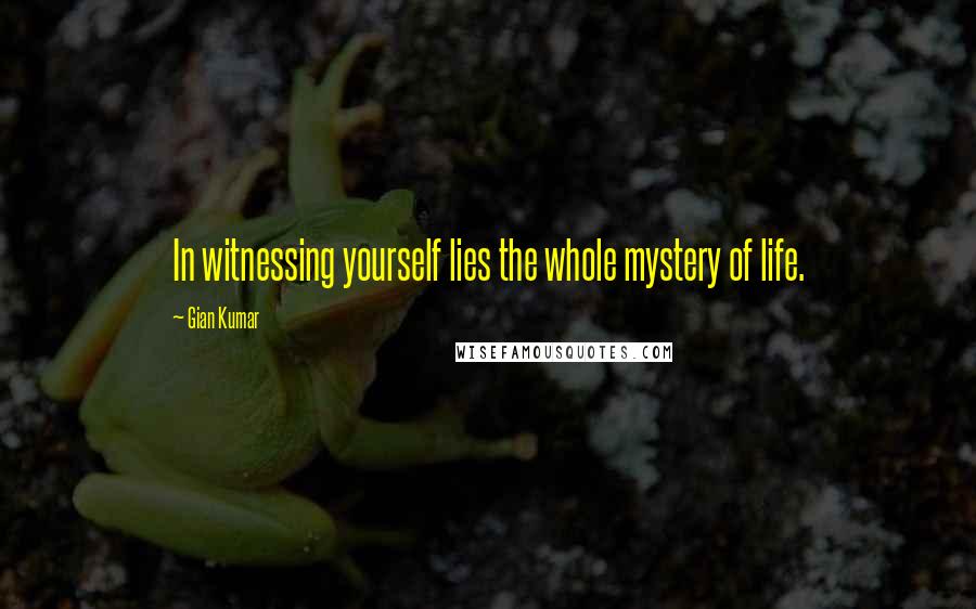 Gian Kumar Quotes: In witnessing yourself lies the whole mystery of life.