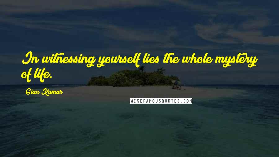 Gian Kumar Quotes: In witnessing yourself lies the whole mystery of life.