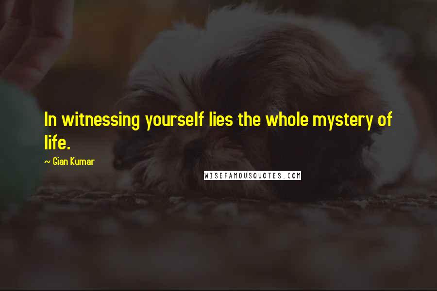 Gian Kumar Quotes: In witnessing yourself lies the whole mystery of life.