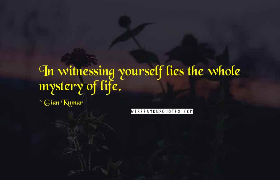 Gian Kumar Quotes: In witnessing yourself lies the whole mystery of life.