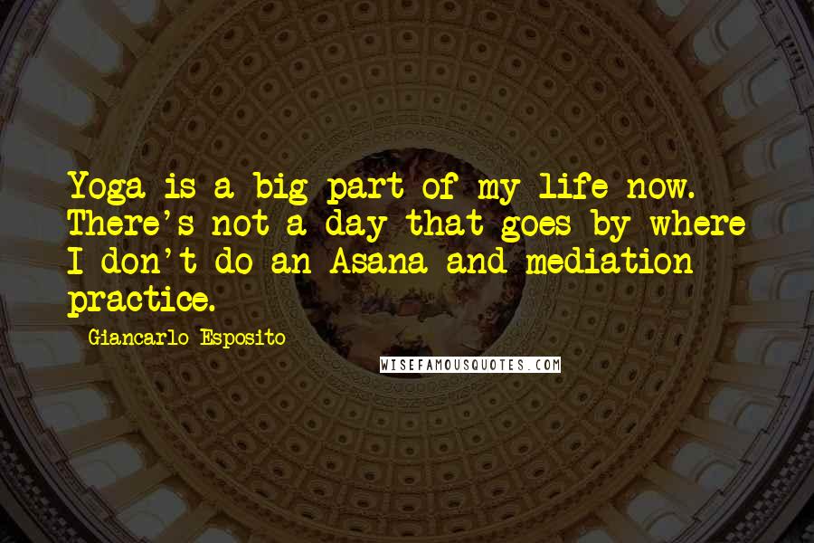 Giancarlo Esposito Quotes: Yoga is a big part of my life now. There's not a day that goes by where I don't do an Asana and mediation practice.