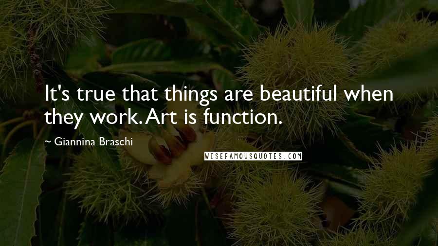 Giannina Braschi Quotes: It's true that things are beautiful when they work. Art is function.